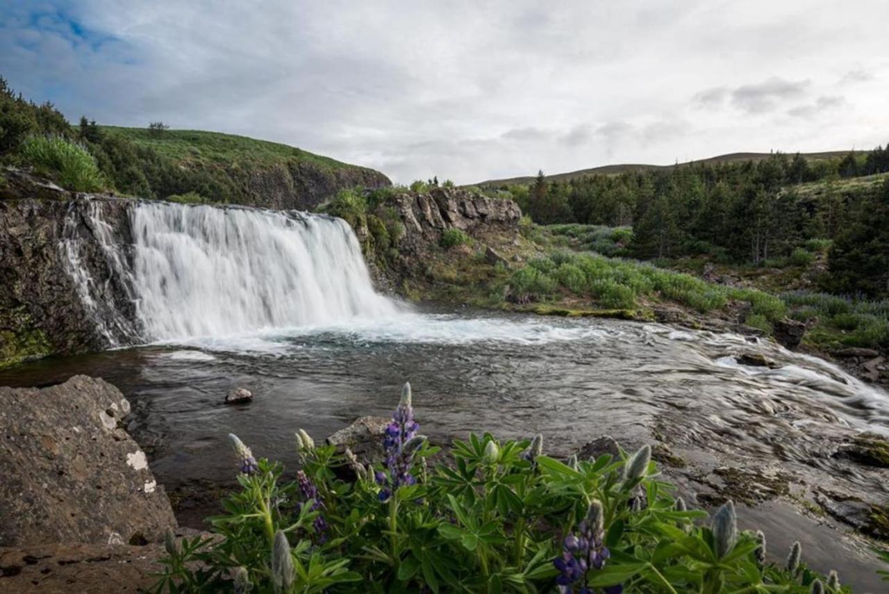 Hvammsvik Nature Resort Kjosahreppur Экстерьер фото